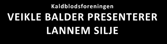 Kom til Veikle Balders stand på