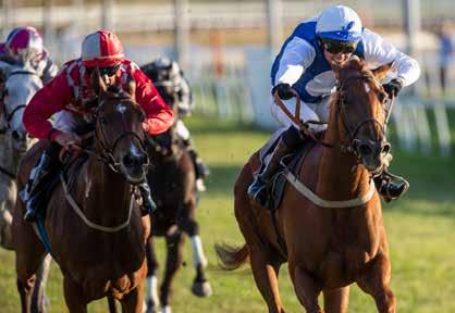 Stor dag for hoppene Fra Lanwades Stud Stakes (L) 2018, High as a Kite og Appelina. Torsdag er det så desidert hoppene som står i forgrunnen på Øvrevoll.