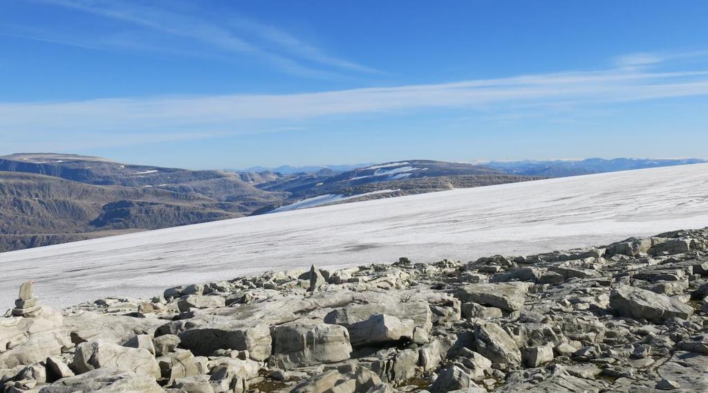 Den delen av området som ligg innanfor landskapsvernområdet si grense er tilnærma utan tekniske inngrep og framstår som urørt natur. Biletet syner utsikta frå toppen av Ålfotbreen og austover.