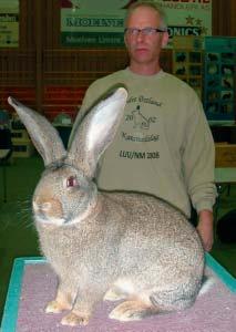 Det er ikke første gang Johnny Lyshaug får Best in Show på en landsutstilling, men det