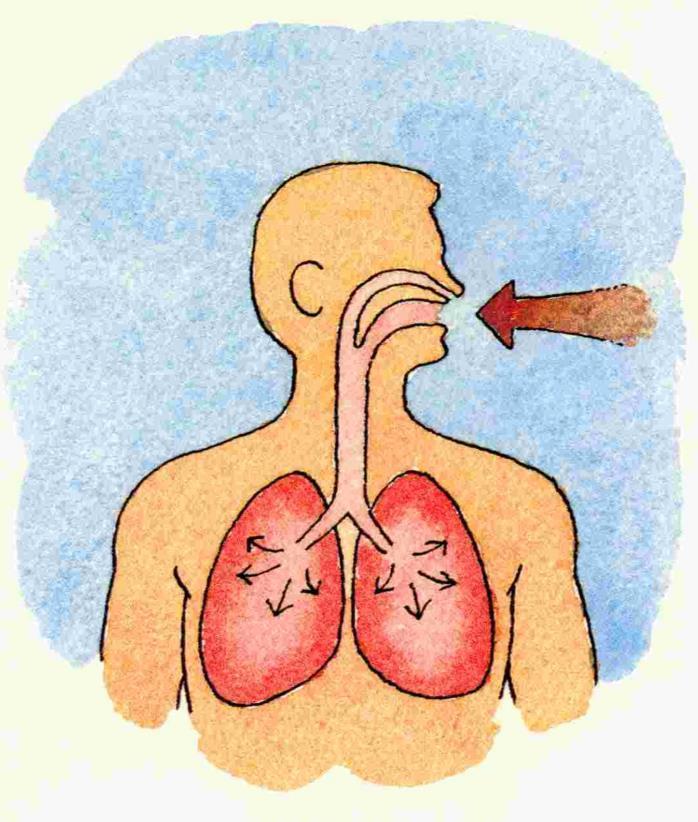 Helserisiko Økt risiko for lungekreft over tid.