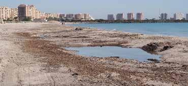 LA MANGA Vi har hatt den første helgen i år med sommerlige temperaturer og mange trekker til strendene. Om man vil nyte strandlivet på La Manga er det ikke likegyldig hvilken strand man velger.