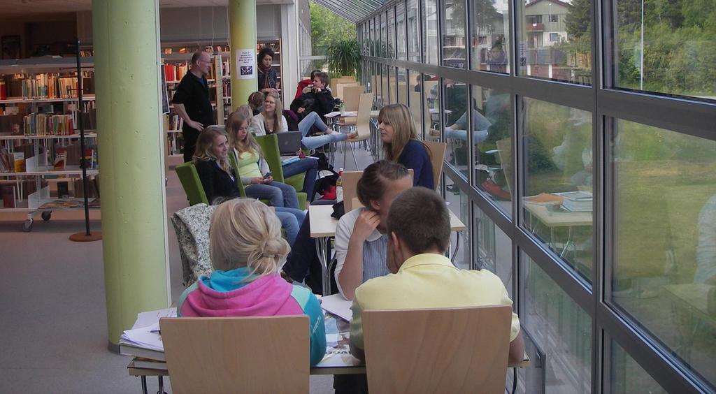 Bodin videregående skole og maritime fagskole Programområde