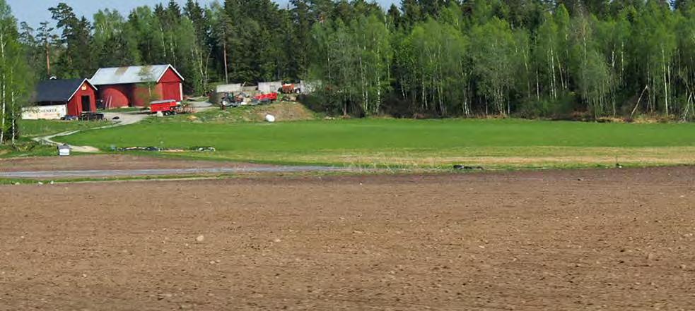 TILFØRSLER OG TAP AV C Fotosyntesen er eneste tilførsel