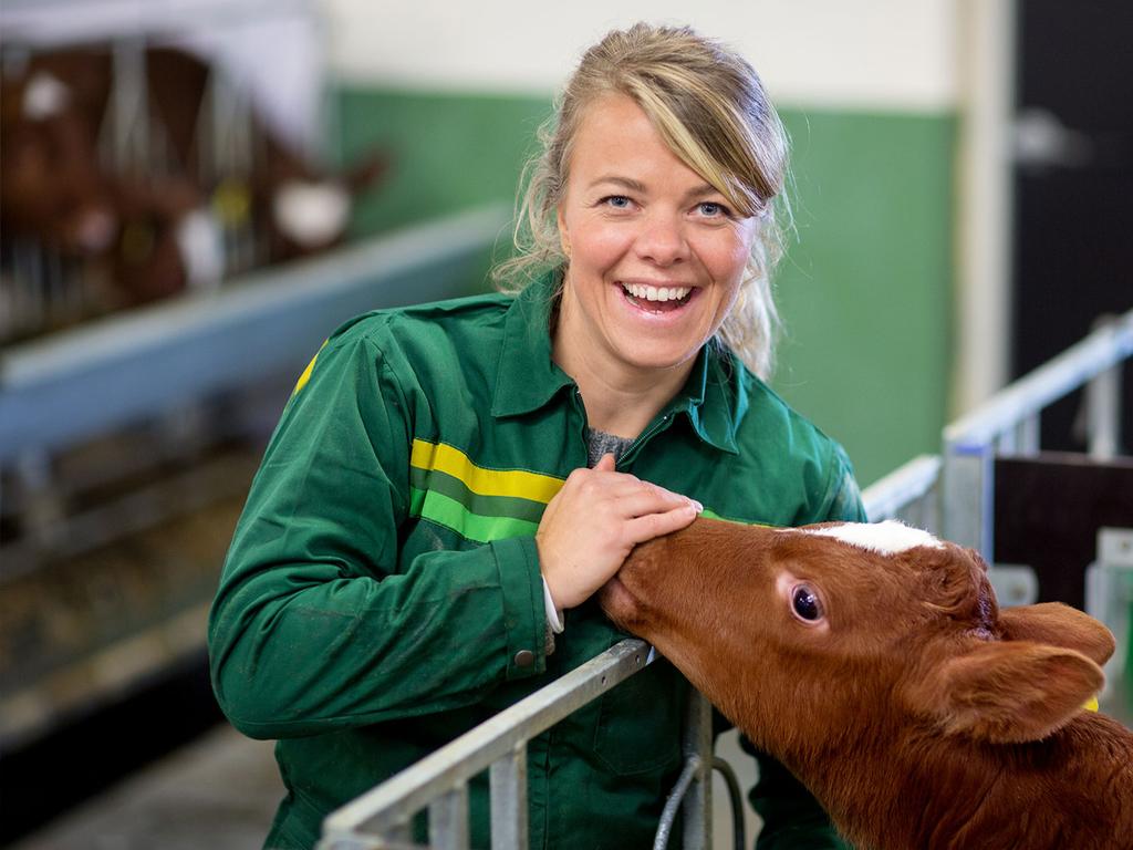 Proteinråvarer i fôr til kjæledyr og produksjonsdyr trender og krav med hensyn til