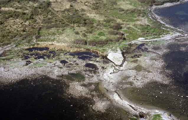 tidligere ikke er registrert. Lyr har også hatt dårlig rekruttering fra 1970-tallet. Undersøkelser med strandnot tilsier at leppefisk har økt i antall de siste årene.