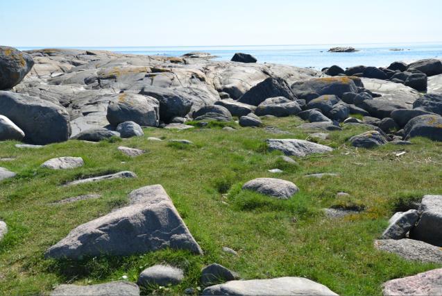 Havstrand: Det finnes flere typer havstrandvegetasjon, fra sandstrendene og - dynene på innsiden av Jomfruland, vidstrakte strandenger og tang- og tarevoller på Stråholmen, rullesteinstrender og over