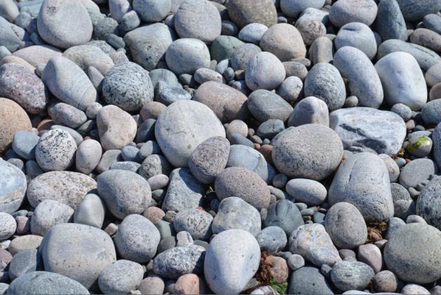 Det er også mindre forekomster på Rauholmane og Stråholmsteinen. Rullesteinstranda på Jomfruland er den lengste, åpne rullesteinstranda i Skagerrak-området og er lett tilgjengelig.