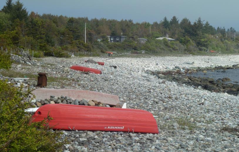 Ferdsel på veger, stier og i terreng På Jomfruland går alle grupper gått mest på Hovedveien, men en betydelig andel oppgir at de også har gått på Utsideveien.