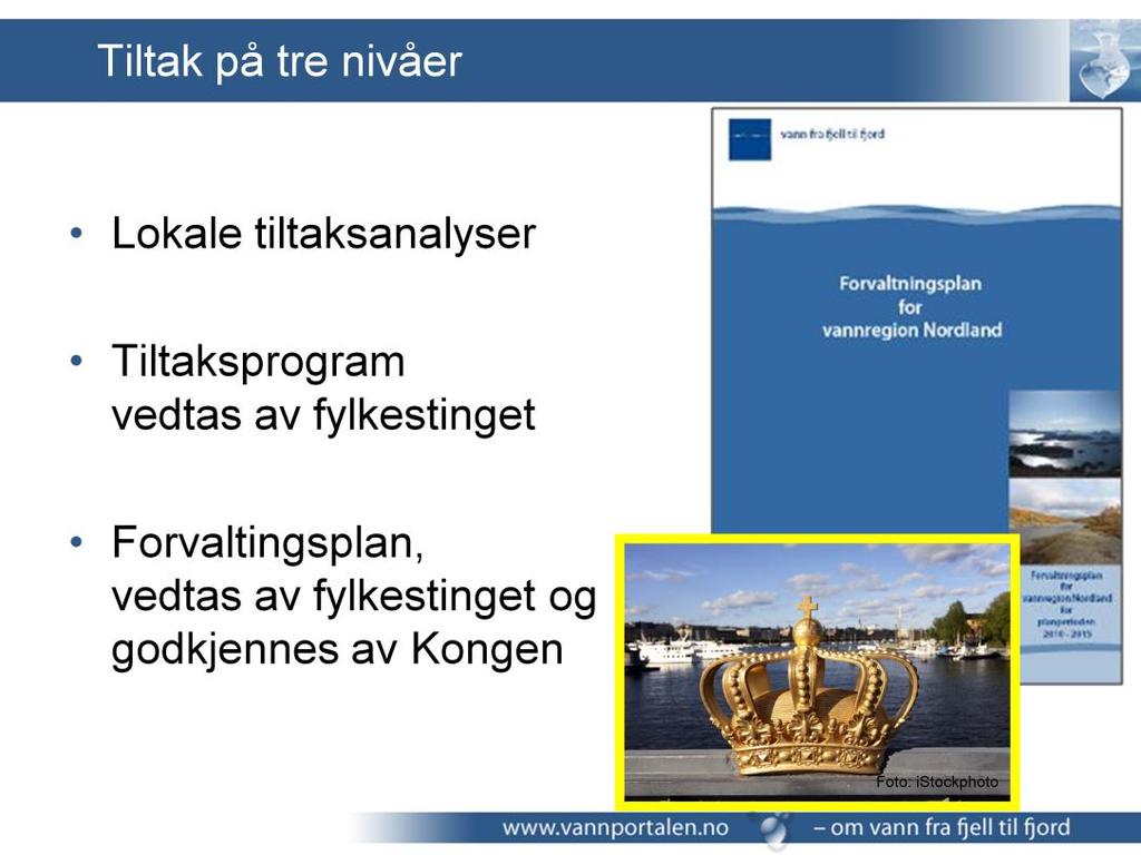 Lokale tiltaksanalyser gir innspill til tiltaksprogram og forvaltningsplan grunnlagsdokument Tiltaksprogram, eget dokument for hele regionen, vedtas av fylkestinget forskriftsfestet, faste