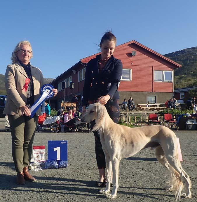 Dagsorden: Årsmøte NKK TF LØRDAG 30. MARS 2019 KL 18.00. Vollan gjestestue, Nordkjosbotn 1. Godkjenning av innkalling og dagsorden. 2. Valg av ordstyrer.