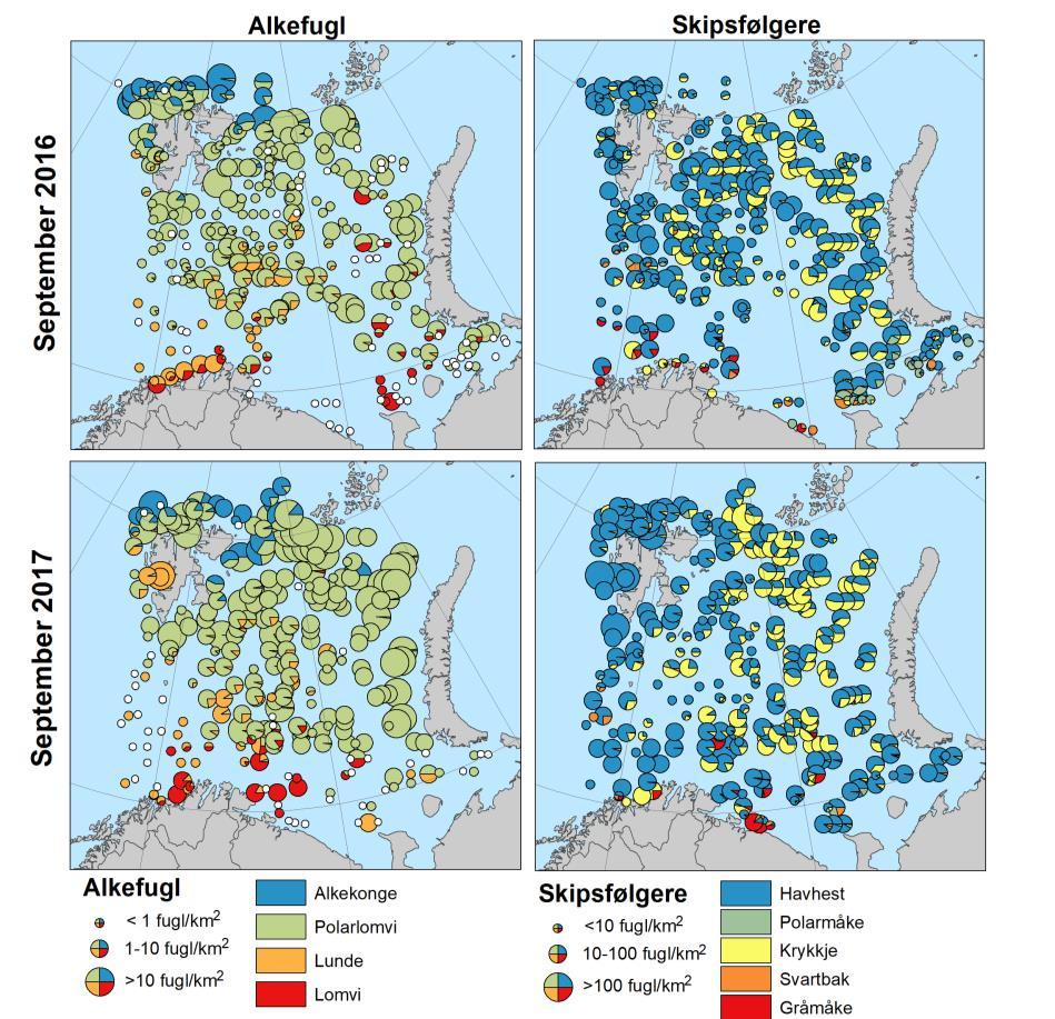 Figur 2. Fordelingen av de dominerende pelagiske sjøfuglartene i Barentshavet på økosystemtoktene i september 2016 og 2017. Data fra SEAPOP og HI/PINRO. Kilde: Fauchald m.fl. 2019.