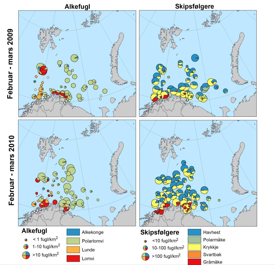 Figur 3. Fordelingen av de dominerende pelagiske sjøfuglartene i Barentshavet på bunnfisktoktene i februar-mars 2009 og 2010