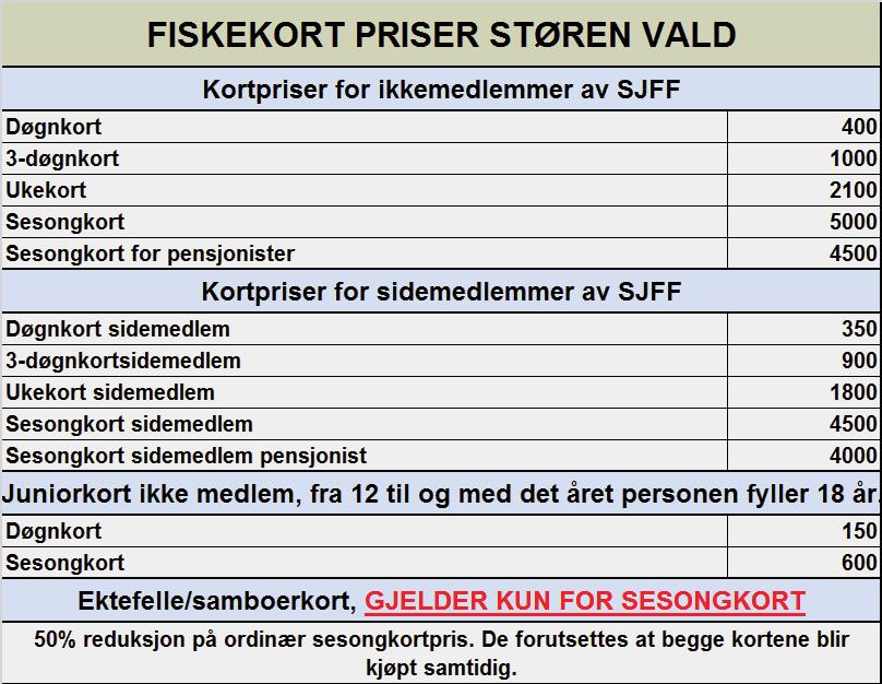 NEDRE DEL. Jernbanehølen: Jernbanehølen (eller Verkstedhølen) starter rett ut for Støren jernbaneverksted på vestsida av elva. Øverst i hølen er det ei bakevje.