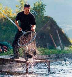 Haadem Fisk Bestefaren til dagens eier og driver, Tidemann Haadem, var en av pionerene innenfor rakfiskproduksjonen i Valdres.