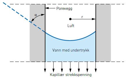 Autogent- eller selvuttørkingssvinn Egenuttørkingssvinn Kapillærporene, som er < 1µm har kapillære effekter. Dette er et resultat av overflatespenning mellom luft og vann i poresystemet.