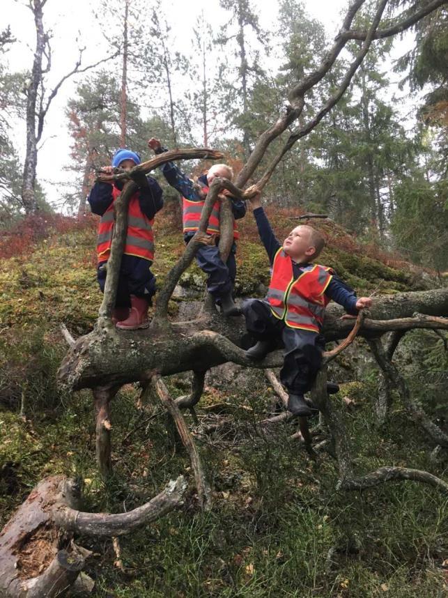 Egenledelse Egenledelse brukes som en samlebetegnelse på overordnede funksjoner i hjernen som setter i gang, regulerer og styrer atferden vår.