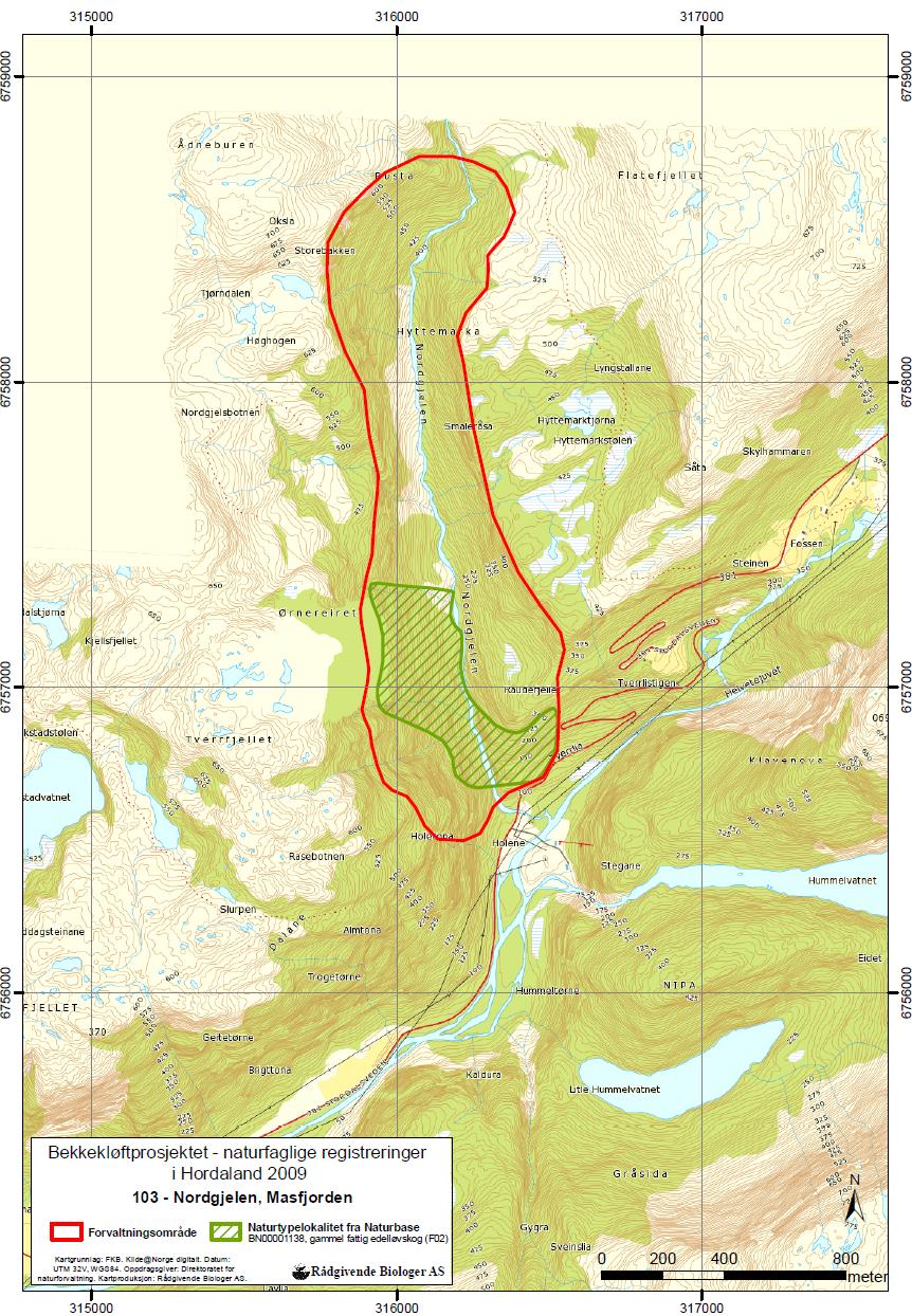 Figur 17. Kart som viser avgrenset forvaltningsområde for Nordgjelen (lok. 103).