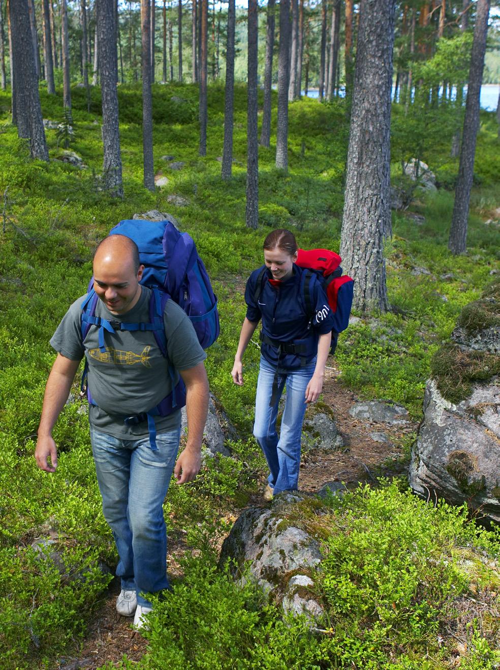 forskjellsbehandling* og områderettede tiltak.