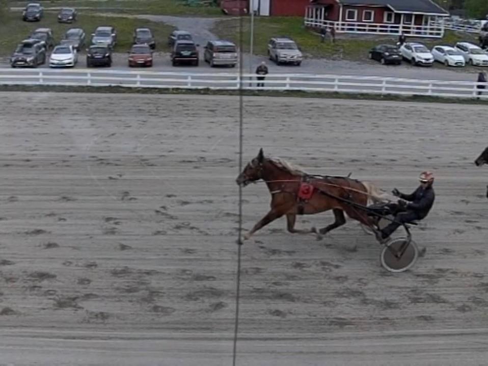 Løp 2 Per Johs Nøklestads Minneløp Kamperhaug Boligutvikling AS Kaldblods Høyest Grunnlag kr 10 000 20meter tilegg ved 4000 1 Nr 3 Mjølner Loke 3 Christian Mysen & Storm T HaJan Roar Mjølnerød 1900