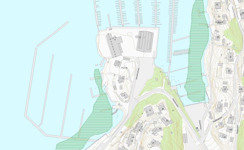Figur 2. Utsnitt fra Naturbase ved Husvikholmen. Naturtypene som vises med grønn skravur i bildet er ålegrasenger. Tabell 1. Tidligere registrerte rødlistearter fra planområdet (Artskart).