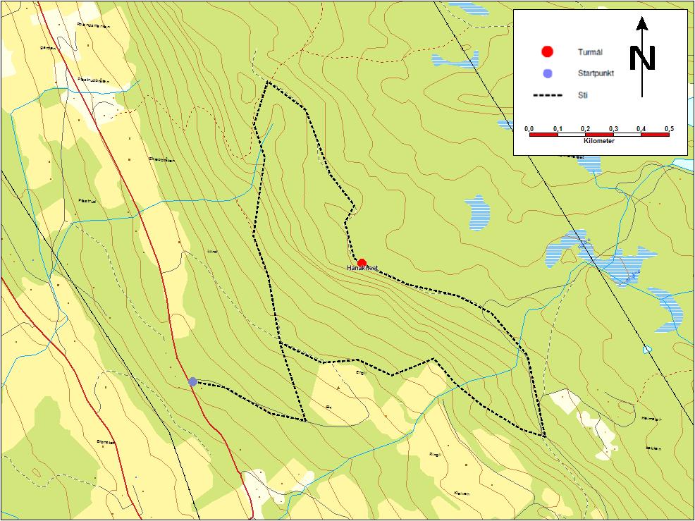 10. Hanakneet (860 moh) Ta av FV 51 mot Rogne øverbygd/rabalen. Køyr ca 1 km. Stigen startar på høgre side av vegen.