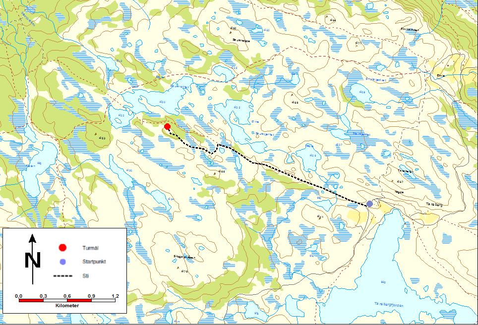 12. Høgd sør for Midtre Saur (1070 moh) Nordfrå: Ta av F51 ved Coop Marked Rogne, kjør 1.100 m etter Gamlevegen til Melbybråten. Frå Fagernes: ta av F51 ved nykrysset, kjør 300 m til Melbybråten.