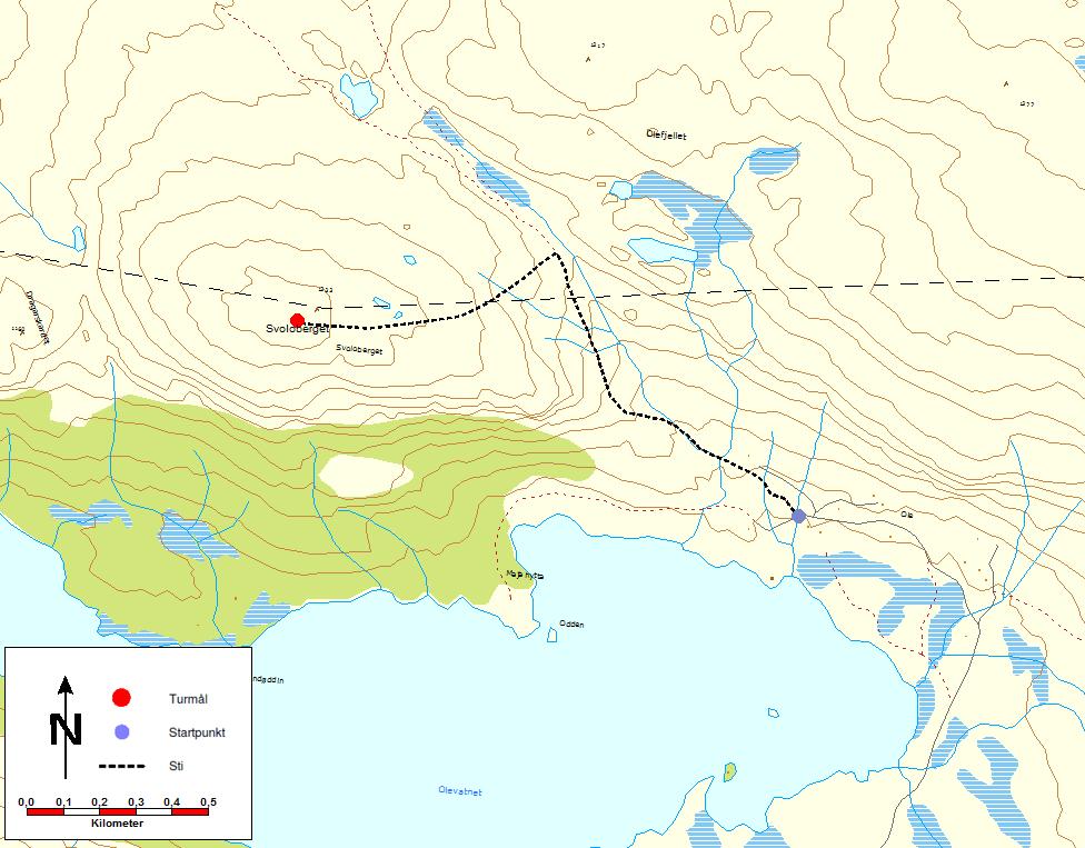 3. Svoloberget (1233 moh) Ta av FV 51 ca 3 km sør for Beitostølen. Følg stølsvegen ca 9 km til Olestølen. Bombillett kr 50. Fjellstafettskilt står ved enden av vegen.