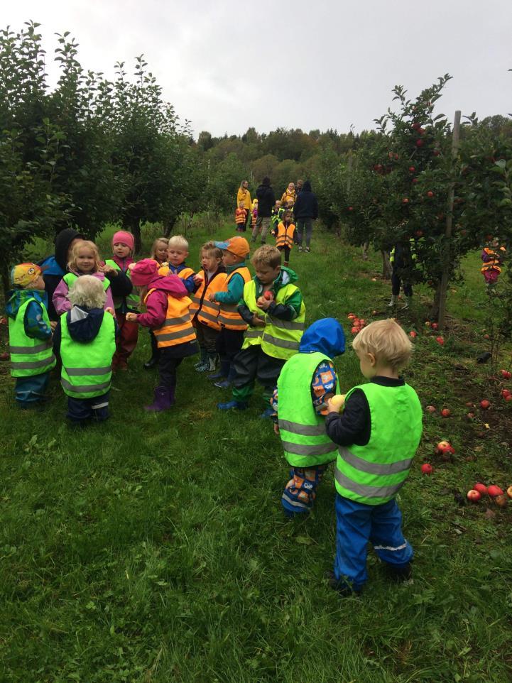 Foreldresamarbeid Barnehagen skal i samarbeid og forståelse med hjemmet ivareta barnas behov for omsorg og lek, fremme læring og danning som grunnlag for allsidig utvikling. (jf. barnehageloven 1.