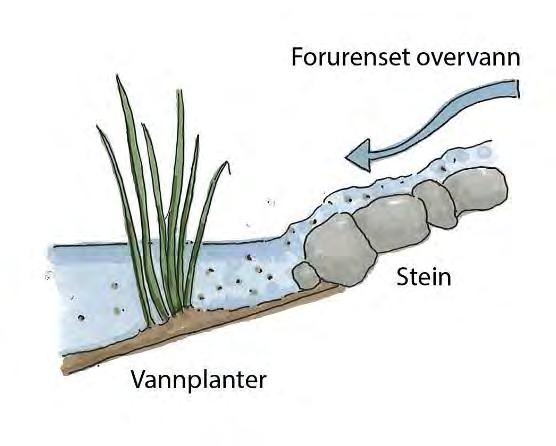 Figur 5: Stein og planter ved innløpet øker ruheten og reduserer vannhastigheten (Skisse: Kirstine Laukli, Statens vegvesen). 1.3.