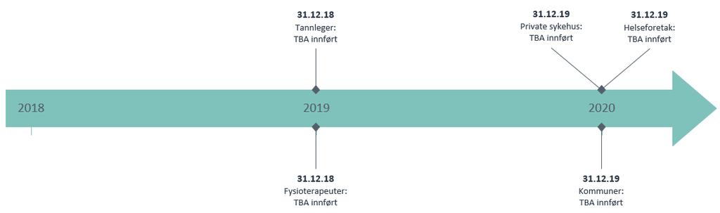 Overordnet tidsplan