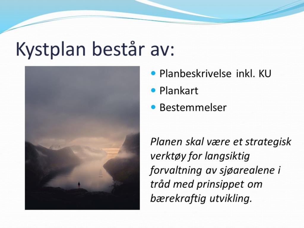 Bakgrunn/organisering Formål og planprosess Beskrivelse av dagens status Planstatus Rammebetingelser Dagens arealbruk, miljøstatus, kulturminner Redegjøring for arealformål og gjennomgang av arealene