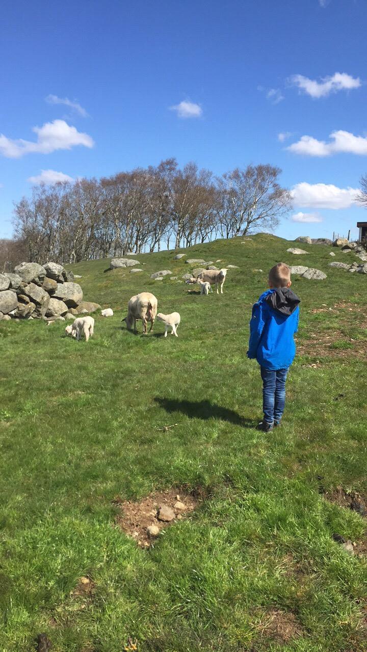 Møterom kjellar (9): Utvalg for levekår, Gjesdal Faktarom kjellar (10) : Utval for opplæring og kultur i Hå