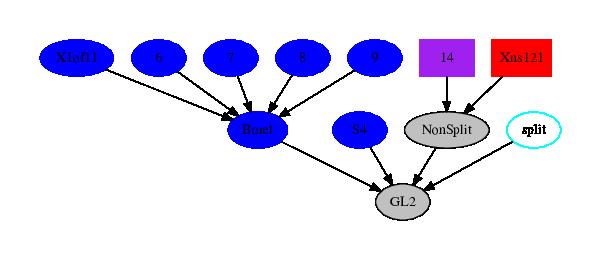 Subgroups of GL 2 (Z 11