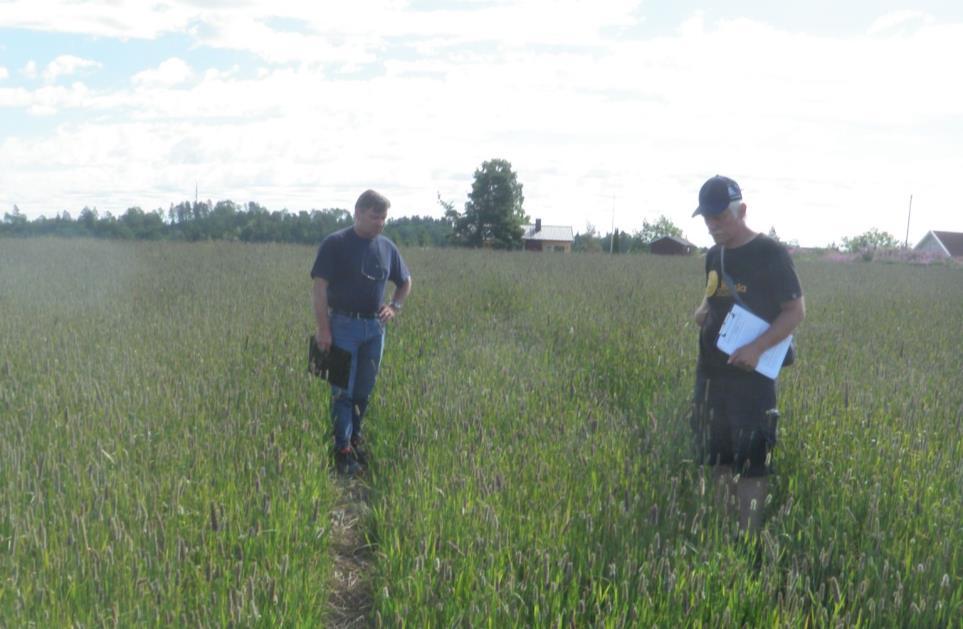 TAKK TIL BAYER CROP SCIENCE / SVEIN BAKKEN FOR