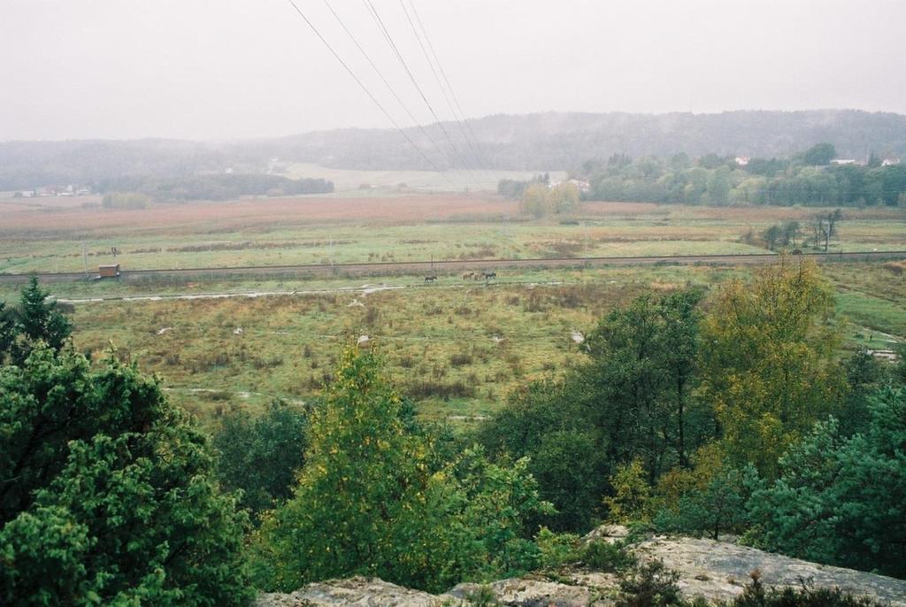 Figur 6. Utsyn fra lokaliteten.