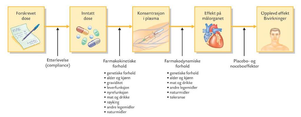 Fra Legemidler og bruken av