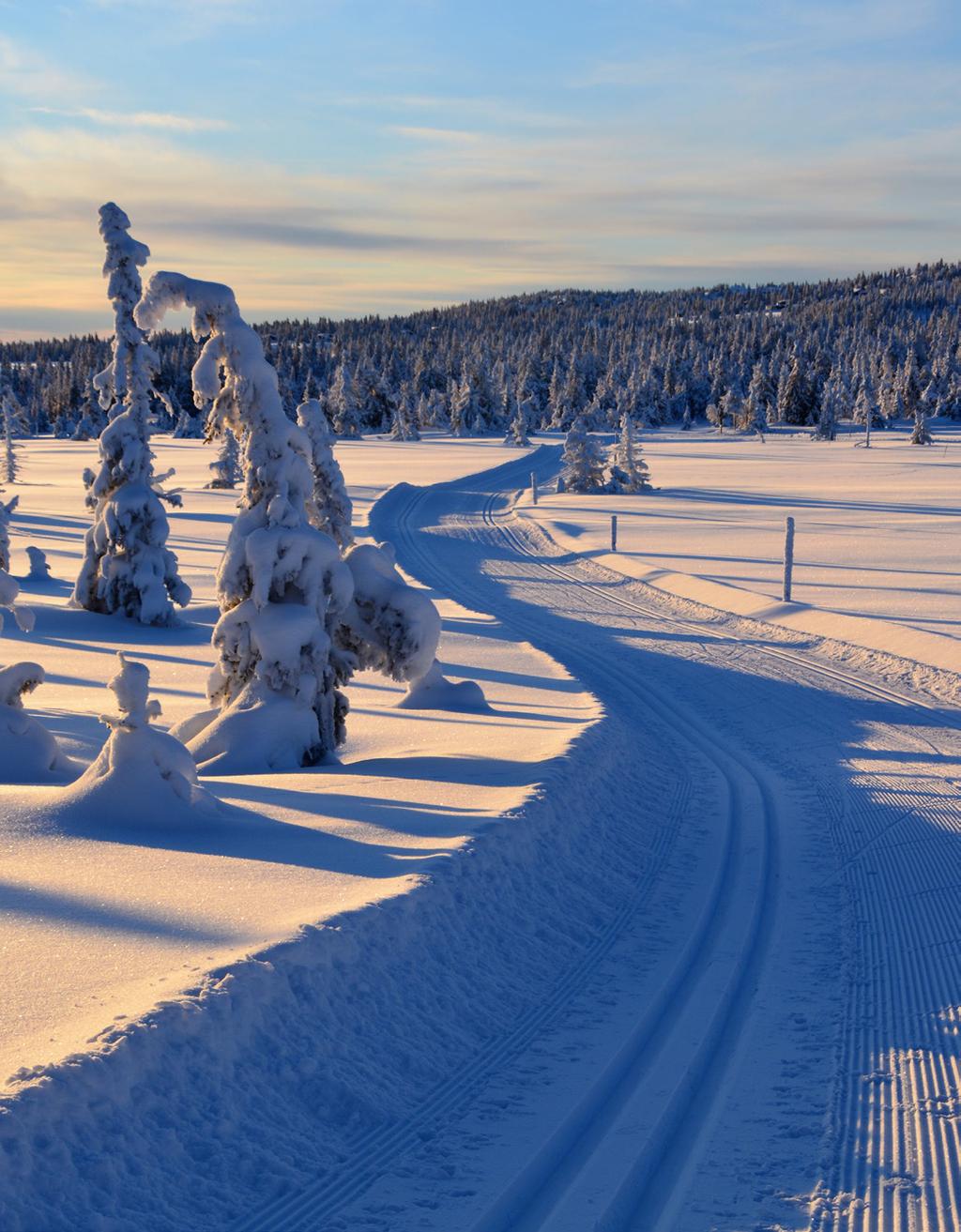 TURISME Ringsakerfjellet har store kvaliteter for fritidsbruk og treningsformål som etterspørres av et stort antall brukere. Pihl AS er opptatt av en langsiktig forvaltning av denne ressursen.