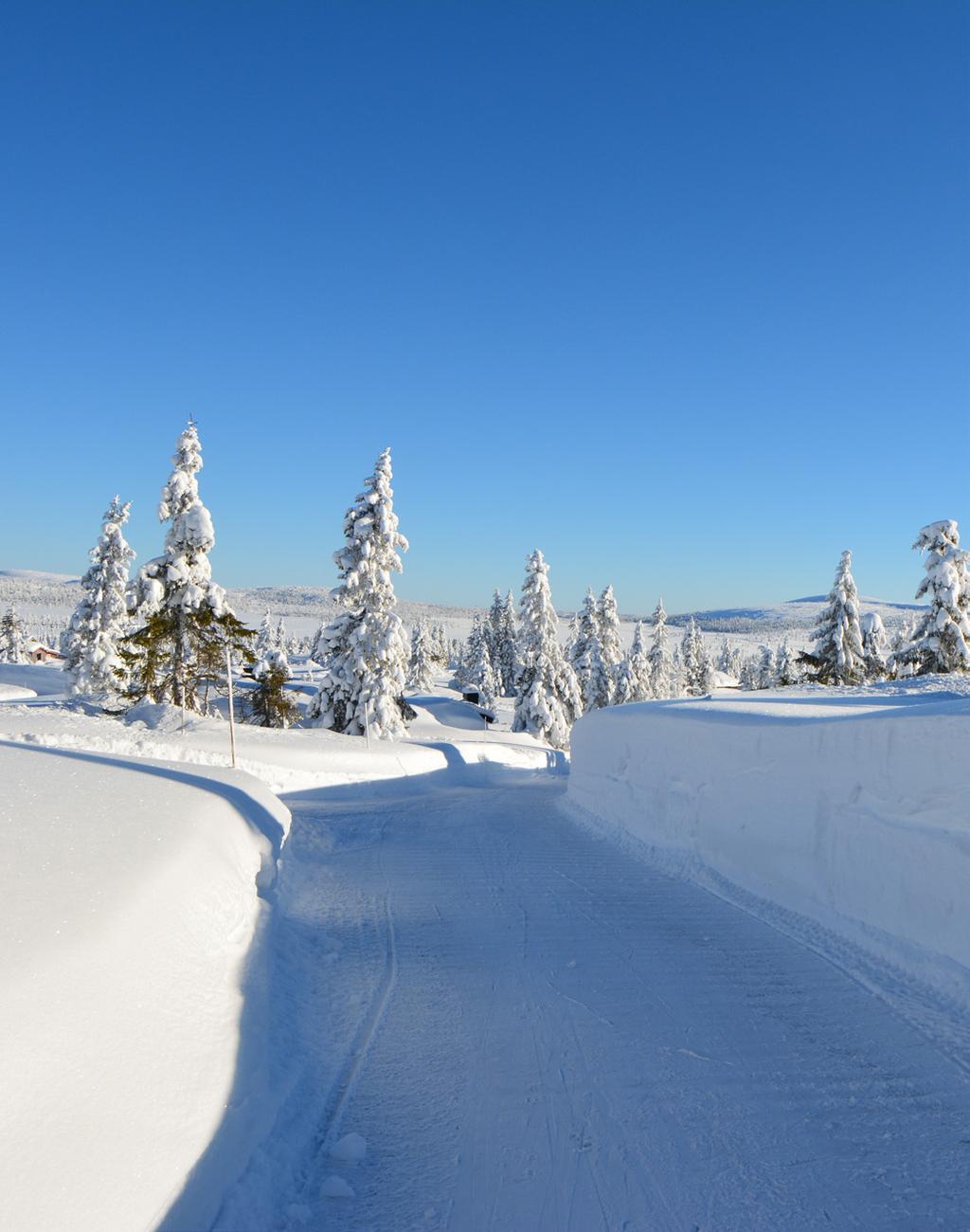 Hytteeiere, velforeningene og næringslivet er også viktige bidragsytere. Sjusjøen Langrennsarena benyttes til lokale og nasjonale skirenn.