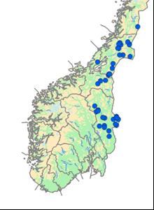 For 2013 er det bare OP2 som har «hovedtilhørighet» i Oppland.