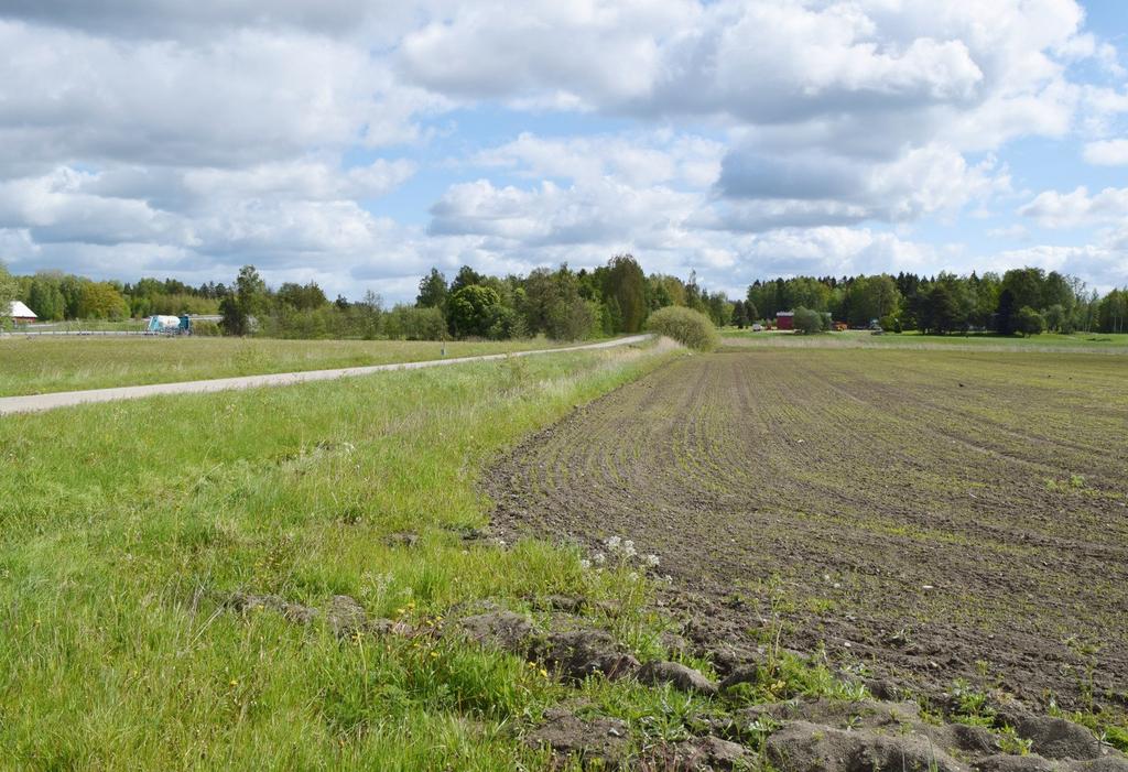 Bilde 7-78: Øst for Hammar er jernbanen planlagt litt nord (til venstre) for eller midt på den lokale grusvegen på bildet. Vegen vil derfor måtte flyttes tilsvarende mot sør, på jordbruksarealet.