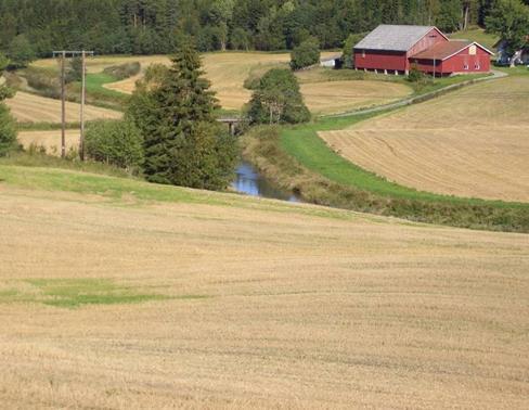 Utvikling jordbrukstiltak hele landet Stubb RMP: 2012: 57 % 2016-2018: 33% også nedgang i