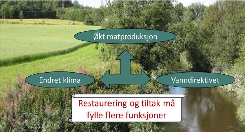 Bredde på kantsone Kantbredde (fra normalvannstand til jordekant) minimum 2 m. jf.