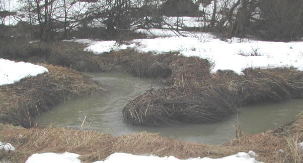 Sterk meandrering kan gi mer flom og økt bredde på kantsonen inn på jordene. Meandrering gir som regel erosjon i yttersving og økt sedimentasjon i innersving.