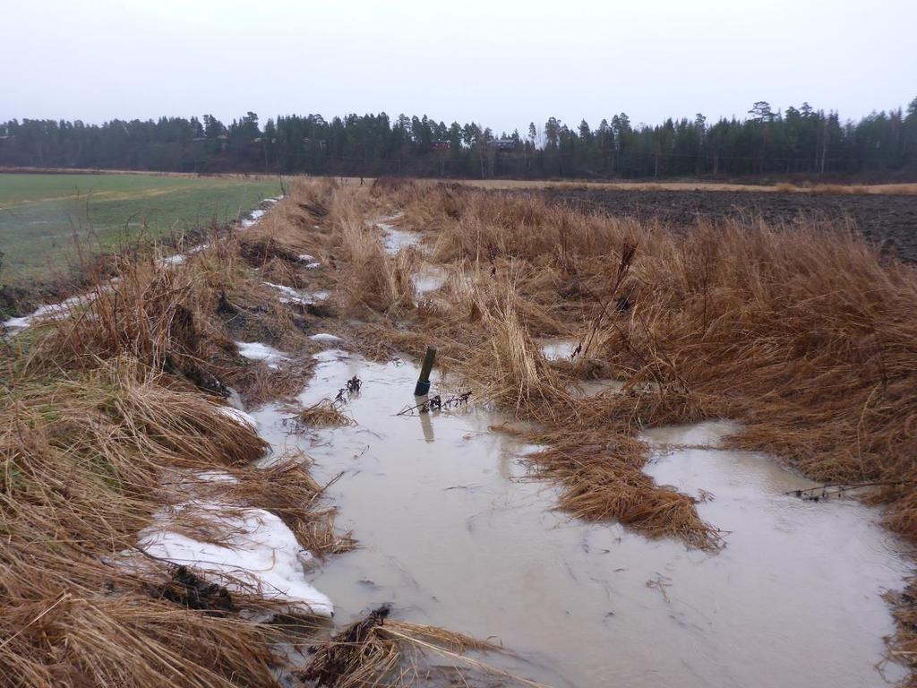 Bekkerensk Et område i Myrabekken der det er behov for bekkerensk. Bekken er grunn og drensutløpene er helt eller delvis nede i sedimentene.