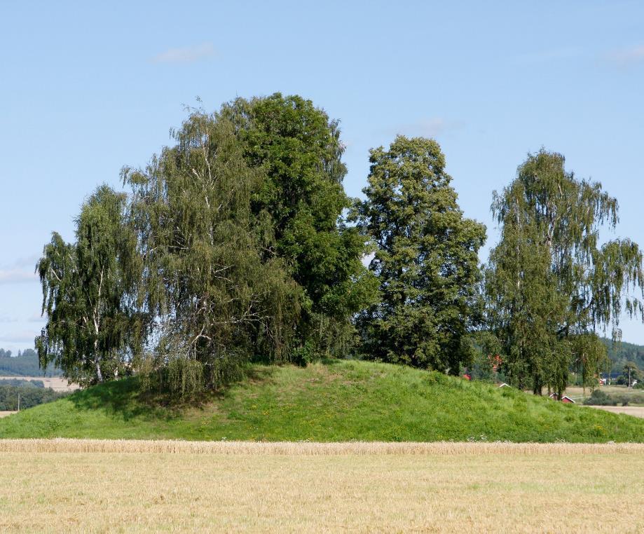 15 Skjøtsel av enkeltstående automatisk fredete kulturminner Gjelder kun gravhauger Skjøtselen skal være gjennomført slik at kulturminnet er synlig i jordbrukslandskapet