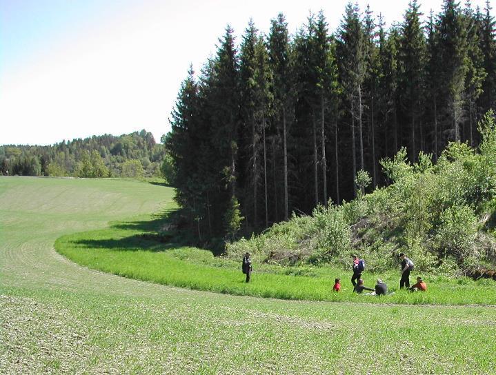 23 Grasdekte vannveier og grasstriper i åker 24 Grasdekt kantsone i åker Anlegges i erosjonsutsatte dråg på åkerareal - Minst 6 m bred - Tilskuddssats - 30 kr/m På tvers av fallet i lange hellinger -