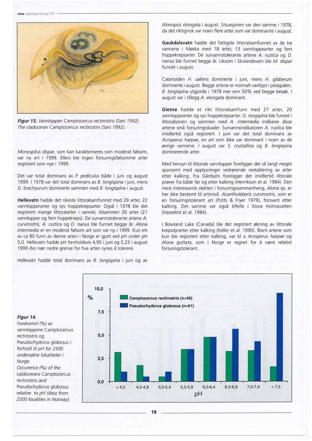 nina oppdragsrnedinq 707 Alonopsis elongata i august. Situasjonen var den samme i 1978, da det riktignok var noen flere arter som var dominante i august.