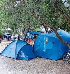 28 Camping Lupis 150 0,8 0,8 km Lovište 68 HR-20269 Lovište 43 01 47 N, 17 01 54 E T +385