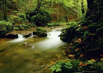 Een natuurlijk fenomeen en ecologisch gevoelig hydrageologisch systeem van meren die UNESCO op de lijst van wereld cultureel en natuurlijk erfgoed heeft staan en elk jaar door honderdduizenden